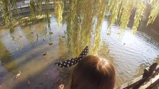Kinder füttern Enten auf einem Fluss . — Stockvideo