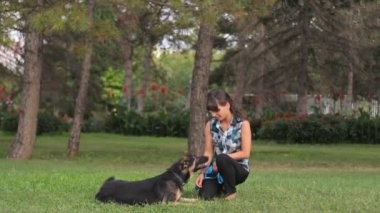 Onun köpeği ile hostes