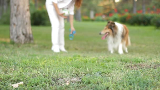 Ευθυμία επάνω το σκυλί σας σε ένα πάρκο — Αρχείο Βίντεο