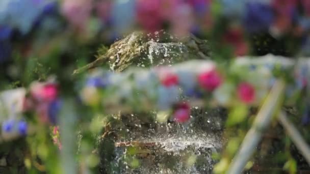 Décorations pour la cérémonie dans le parc . — Video