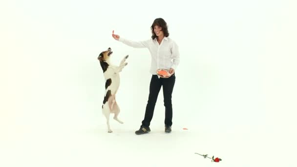 Грати з собакою на день Святого Валентина — стокове відео