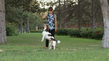 Komik köpek Densing