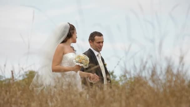 Recém-casados em um campo — Vídeo de Stock