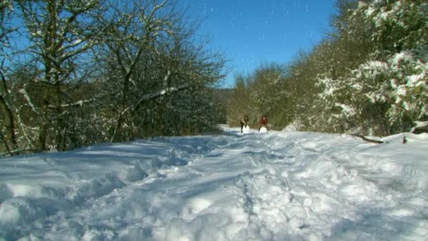 Niñas tiene un divertido en la nieve — Vídeo de stock