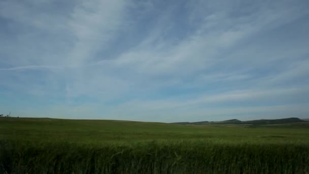 Route de campagne vierge à travers les champs de blé