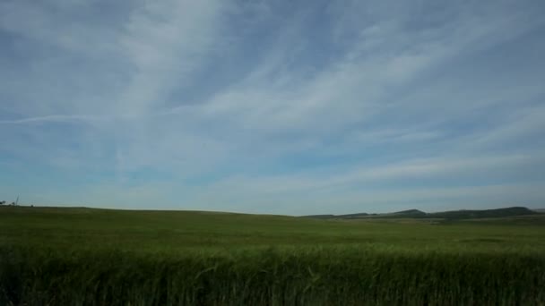 Camino de campo vacío a través de campos con trigo — Vídeos de Stock