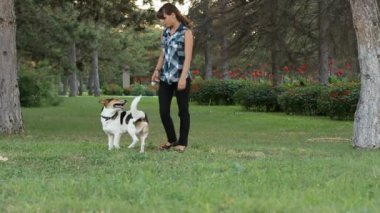 Köpek sahibinin emir yürütür.