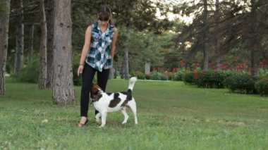 Köpek çalıştırır kızın ayak altında