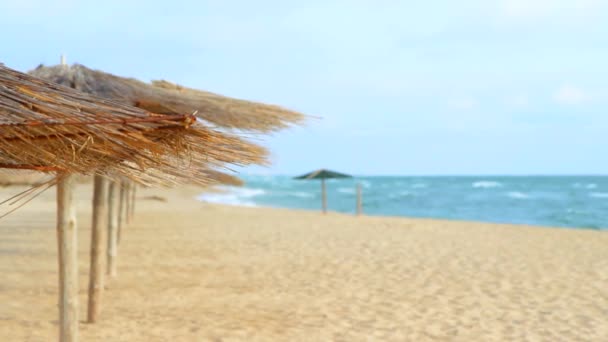 Guarda-chuvas de palha na costa do mar azul . — Vídeo de Stock