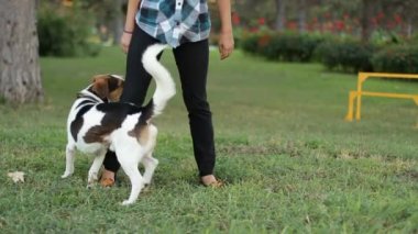 Köpek çalıştırır kızın ayak altında