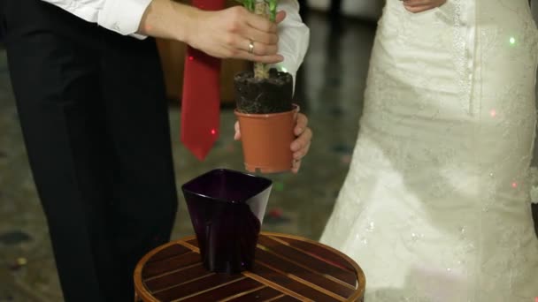 Tradizione di nozze nuziale — Video Stock