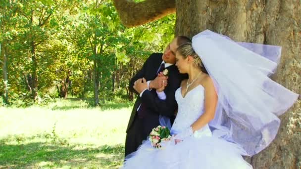 Promenade de mariage dans le parc . — Video