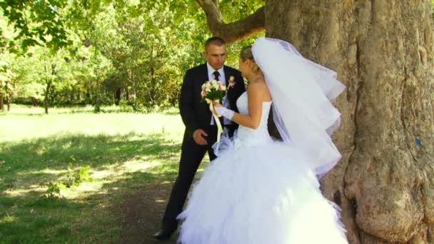 Romántico beso el árbol — Vídeos de Stock