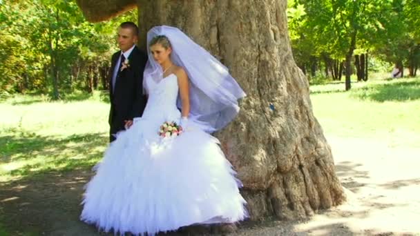 Sesión de fotos de los recién casados cerca de un árbol . — Vídeos de Stock