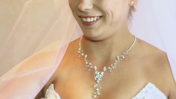 A noiva usa jóias. — Vídeo de Stock
