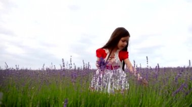 Küçük kız bir avuç lavanta çiçekleri toplar.