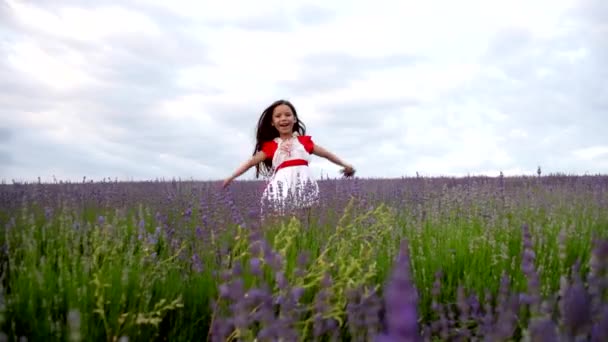 Weibliches Kind in Lavendel versteckt — Stockvideo