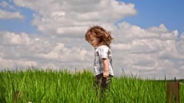 Sevimli çocuk yeşil çayır atlama