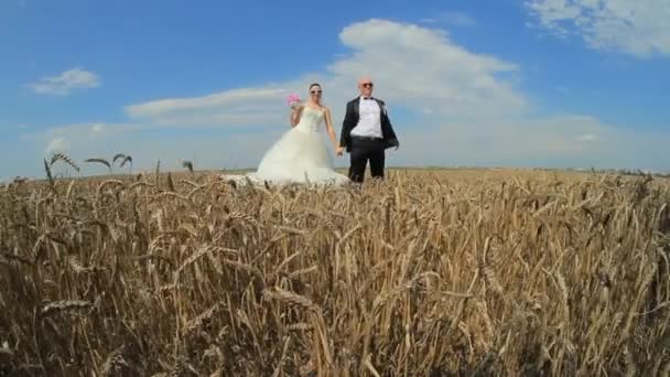 Schönes Brautpaar posiert im Weizenfeld für die Kamera — Stockvideo