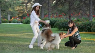 iki kız köpeklerle oynuyor