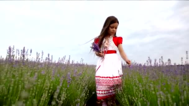 Little Girl In A Lavender — Stock Video