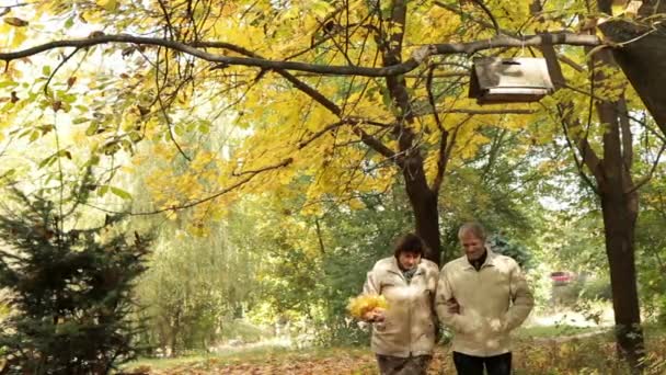 Parejas maduras en el parque — Vídeos de Stock