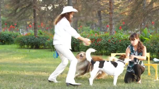 Dos chicas con perros — Vídeos de Stock