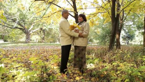 Détendez-vous dans le parc — Video