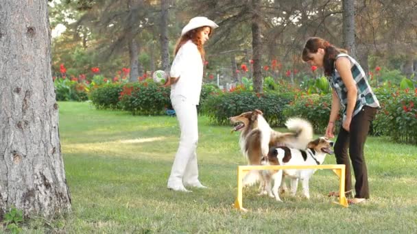 Две девочки с собаками — стоковое видео