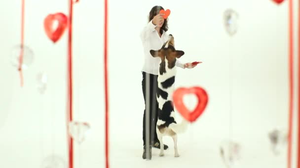 Köpek ile hostes Sevgililer günü dansı — Stok video