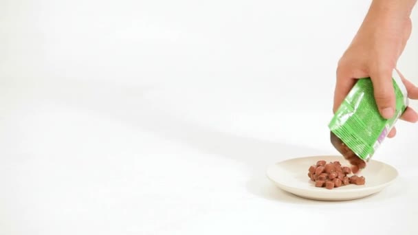 main humaine verse chaton délicieux nourriture .