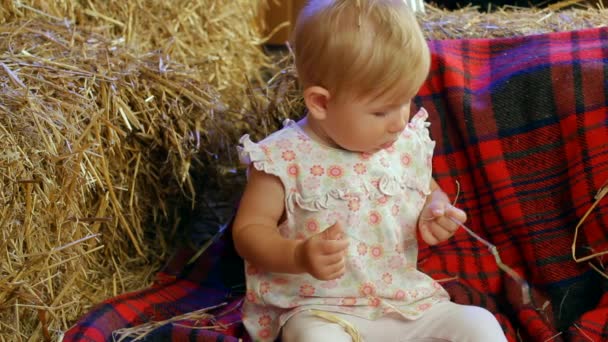 Granja Kid en un Haystack — Vídeos de Stock