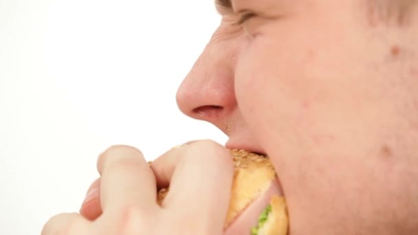 Homem come um sanduíche isolado close-up — Vídeo de Stock