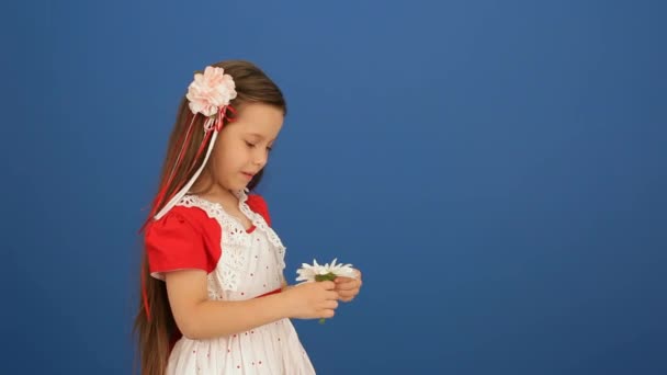 Girl And Flower — Stock Footage Girl And Flower Stock Footage