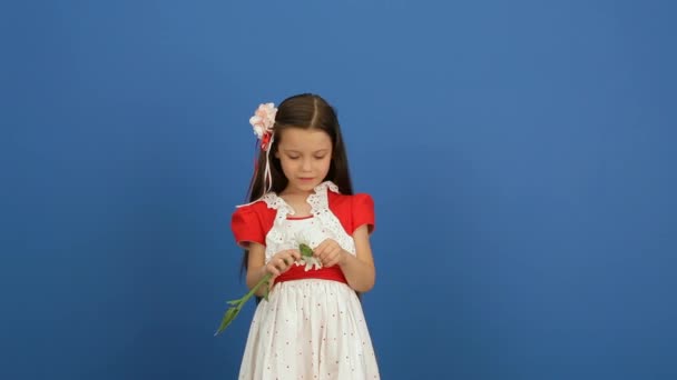 Girl On A Blue Background — Stock Video