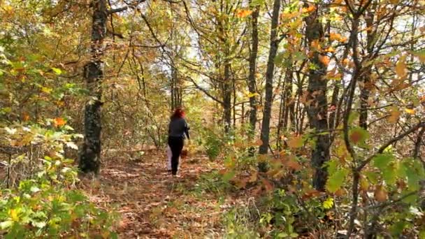 La famille est à la recherche de champignons 