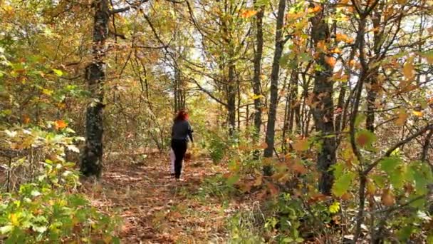 Familie Is op zoek naar paddestoelen — Stockvideo