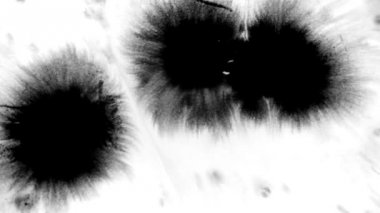 Islak kağıt üzerinde mürekkebi.