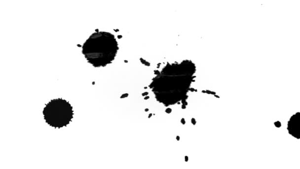 Salpicadura de tinta sobre fondo blanco — Vídeos de Stock