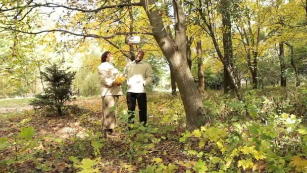 Rusten in de herfst park — Stockvideo