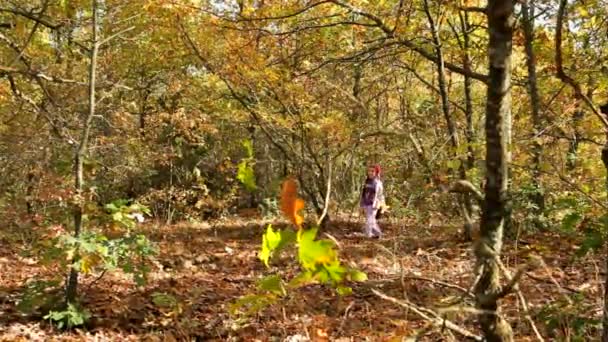 Femme dans le parc d'automne — Video