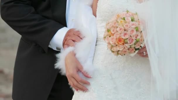Novio celebración novia a mano — Vídeo de stock
