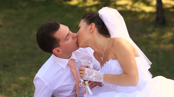 Champagne de mariage — Video