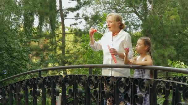 Nieta y abuela en un puente — Vídeo de stock