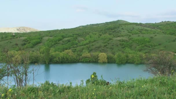 Familie op de natuur — Stockvideo