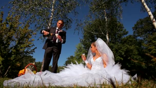 Les jeunes mariés ont bu du champagne sur la nature — Video
