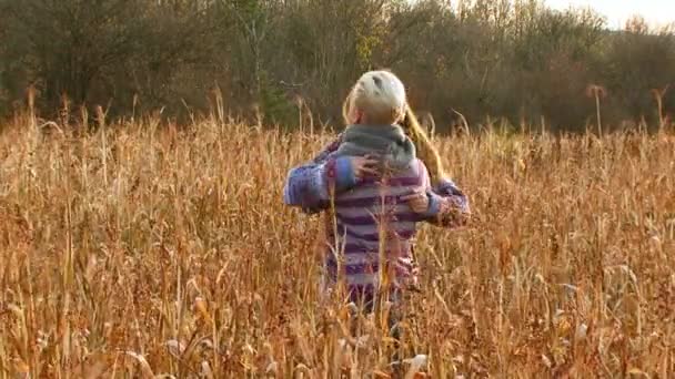 Schönes Paar umarmt sich auf dem Feld — Stockvideo