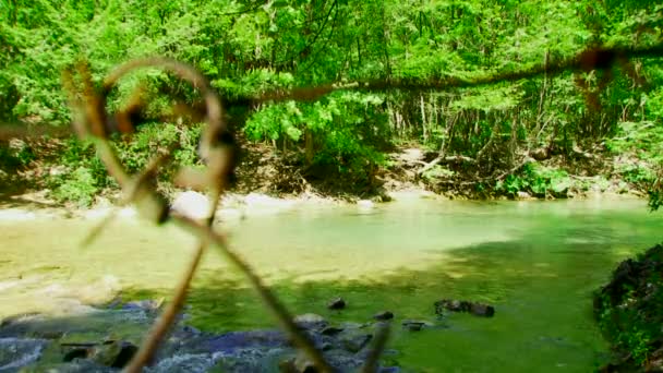 Невеликої річки — стокове відео