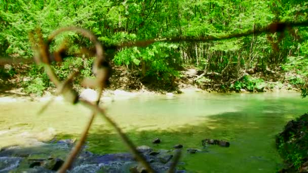 Pequeño río — Vídeo de stock