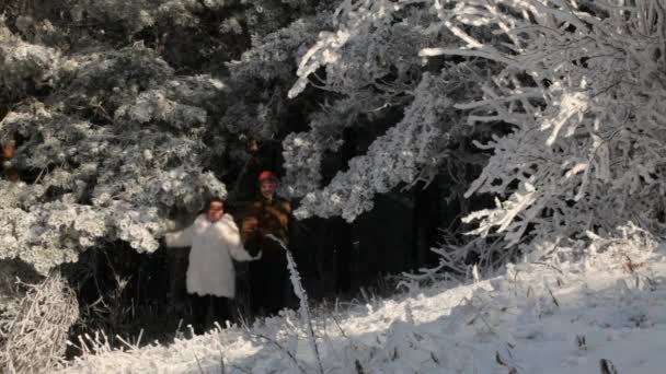 Dos personas caminando en el bosque — Vídeos de Stock